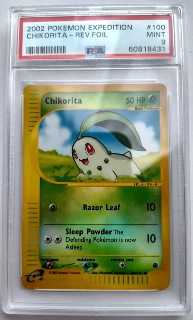 Chikorita