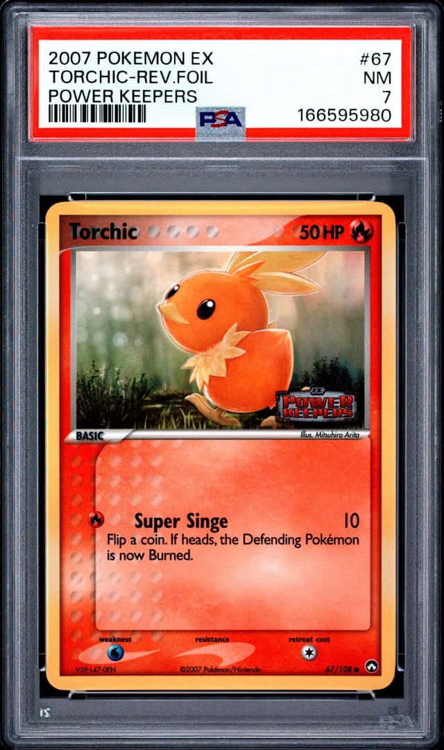 Torchic