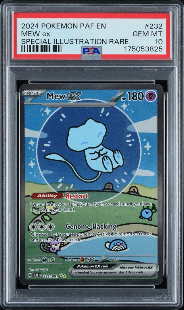 MEW ex