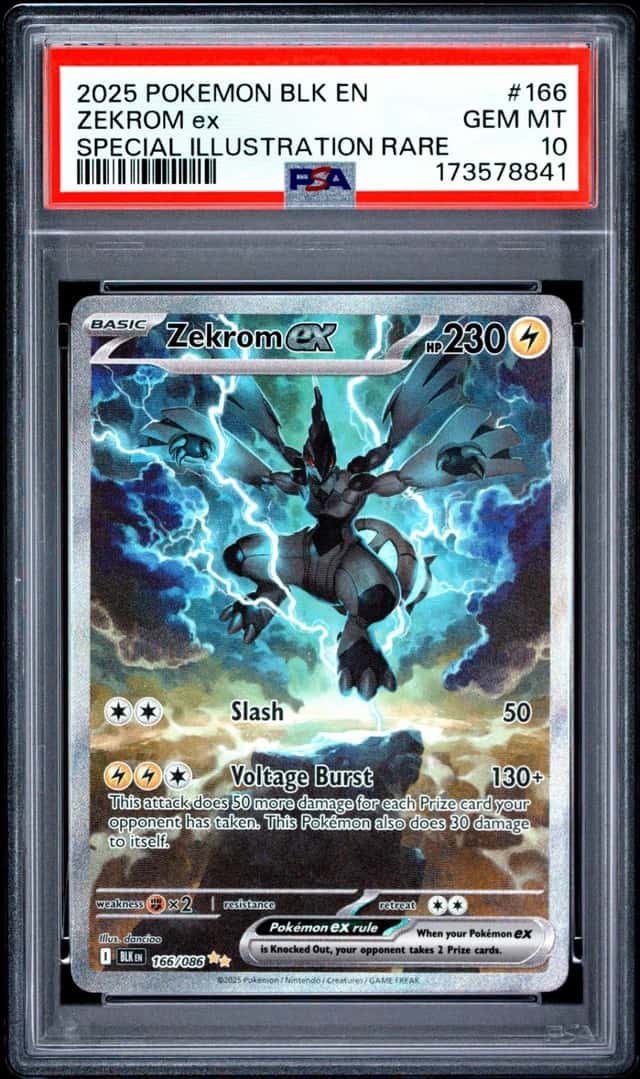 ZEKROM ex