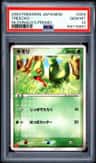 Treecko