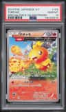 Torchic
