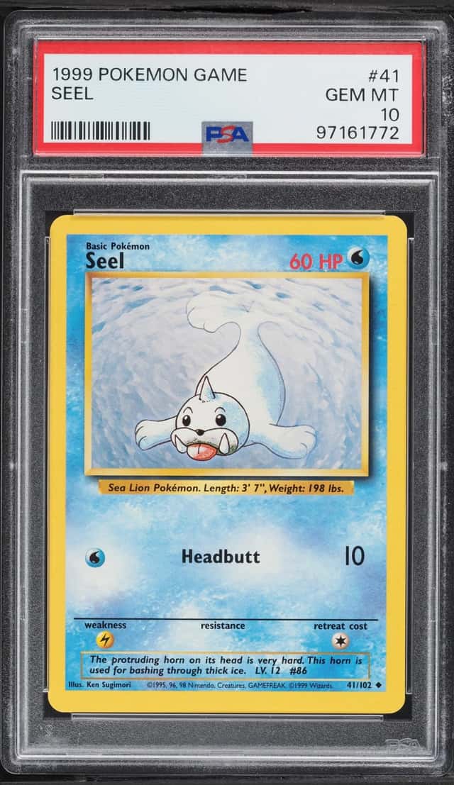 Seel