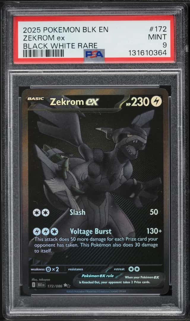 ZEKROM ex