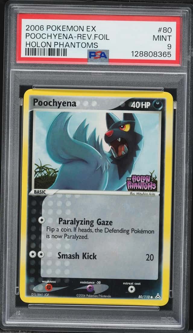 Poochyena