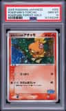 Pokepark'S Torchic
