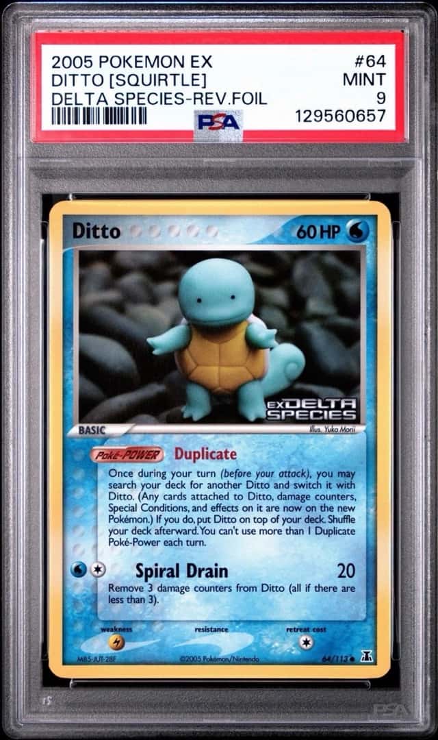 Ditto [Squirtle]