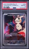 Team Rocket'S Mimikyu