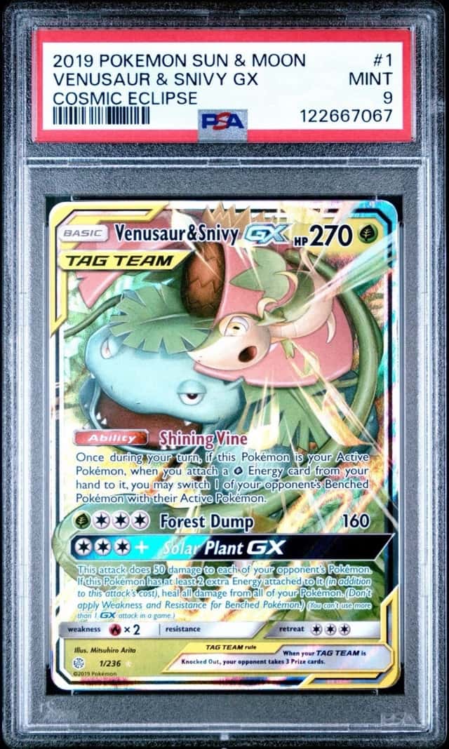 Venusaur & Snivy GX
