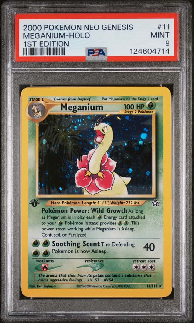 Meganium