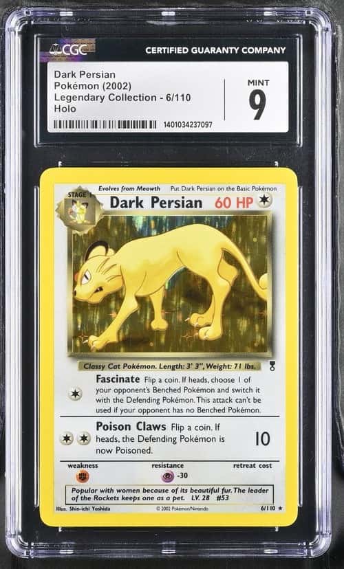 Dark Persian