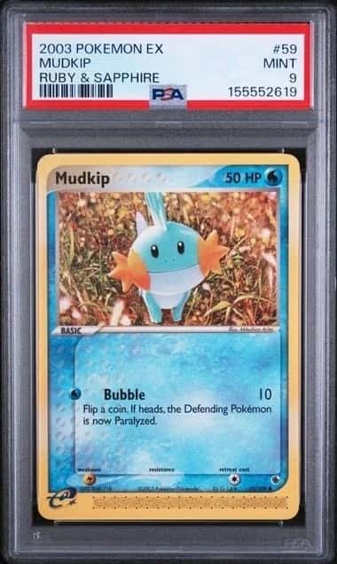 Mudkip