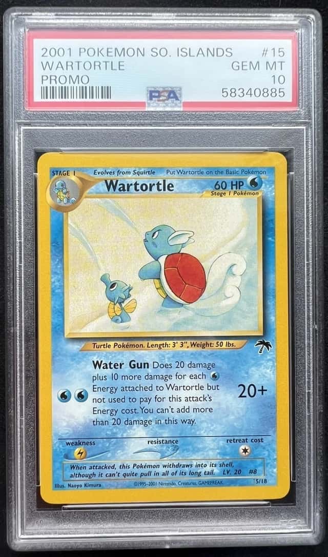 Wartortle