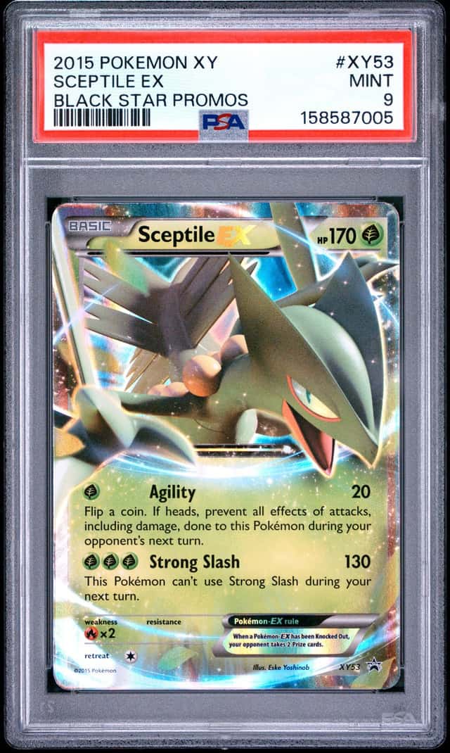 Sceptile EX
