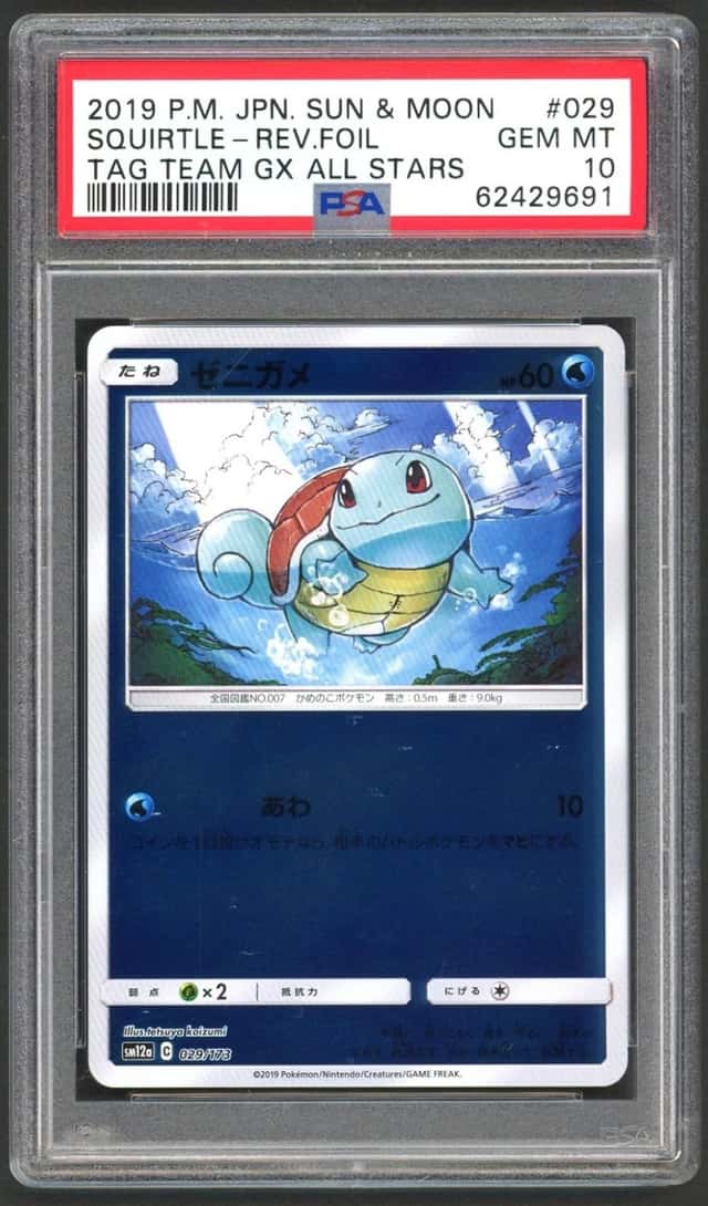 Squirtle