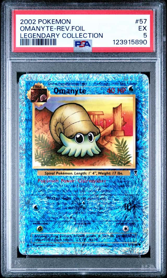 Omanyte
