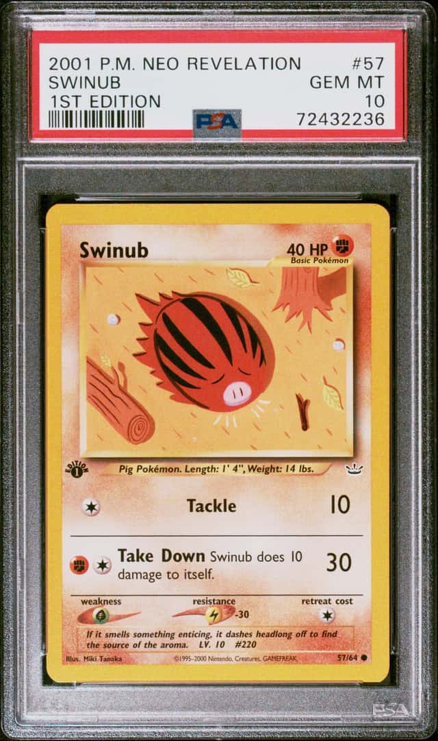 Swinub