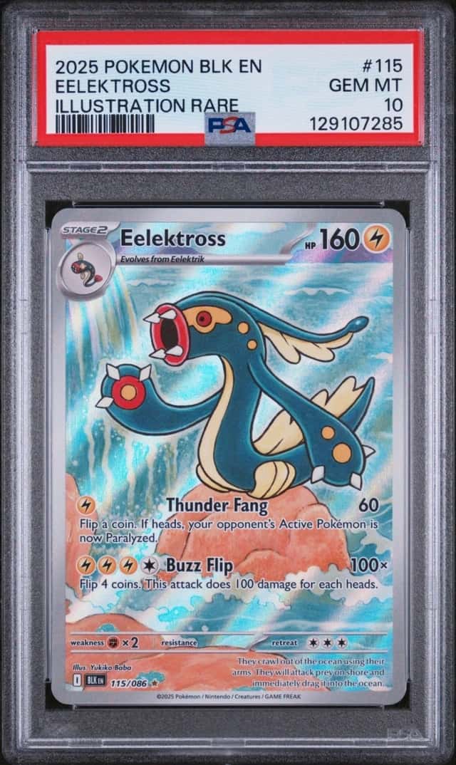 Eelektross