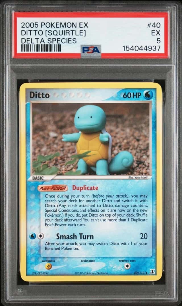 Ditto [Squirtle]