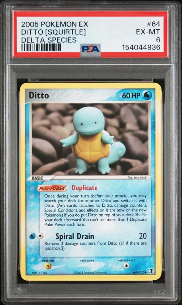 Ditto [Squirtle]