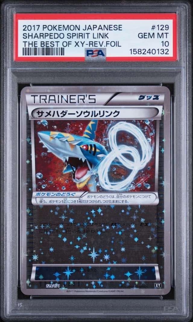 Sharpedo Spirit Link