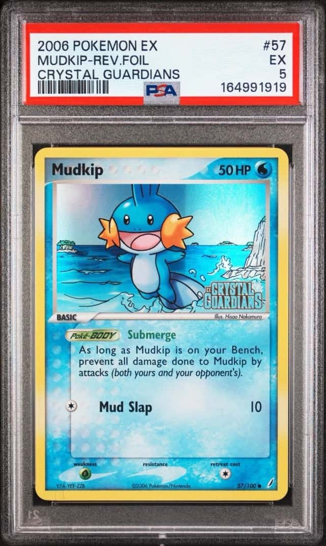 Mudkip