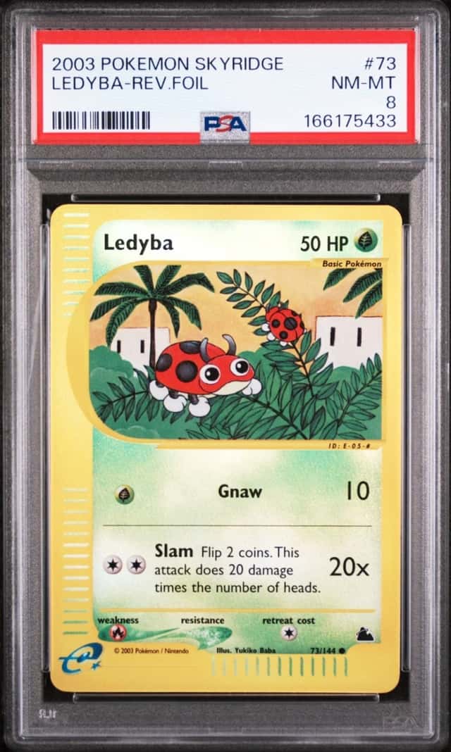 Ledyba