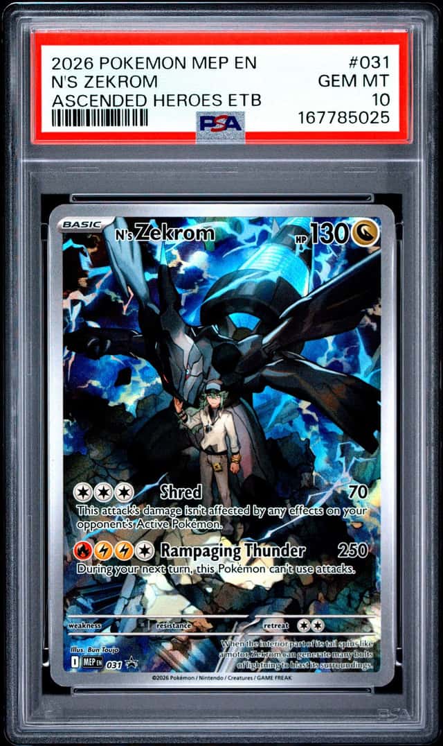N's Zekrom