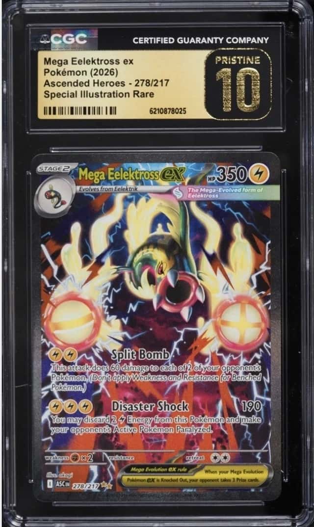 MEGA EELEKTROSS ex