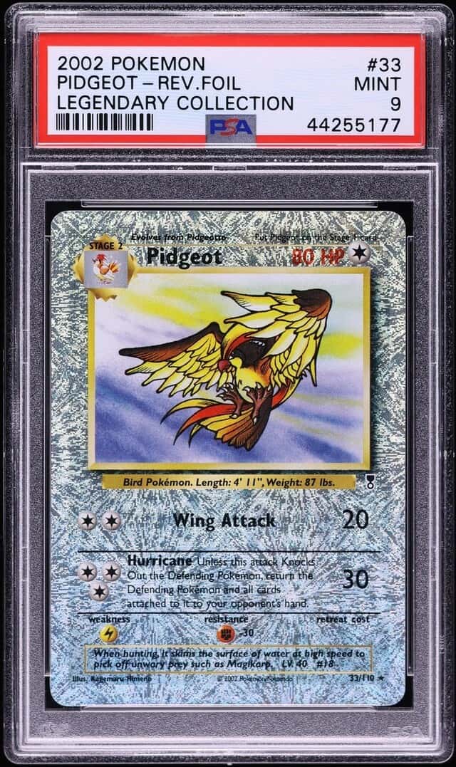 Pidgeot
