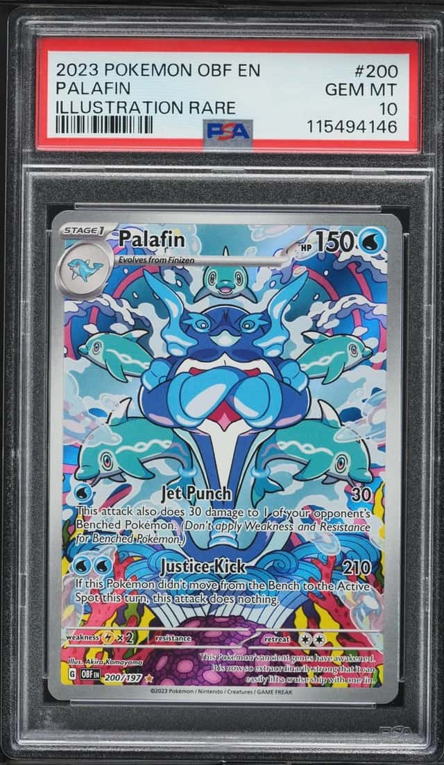 Palafin