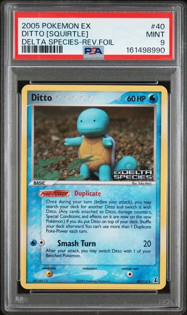 Ditto [Squirtle]