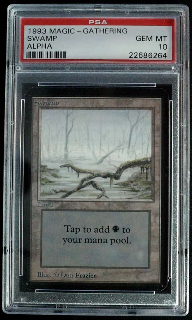 Swamp