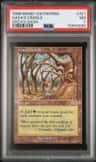 Gaea'S Cradle