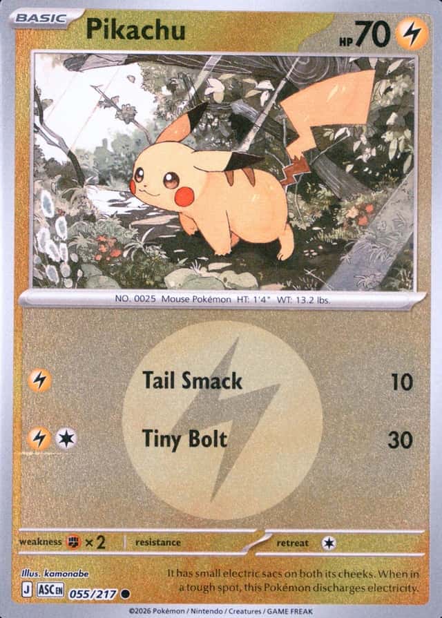 Reverse Holo