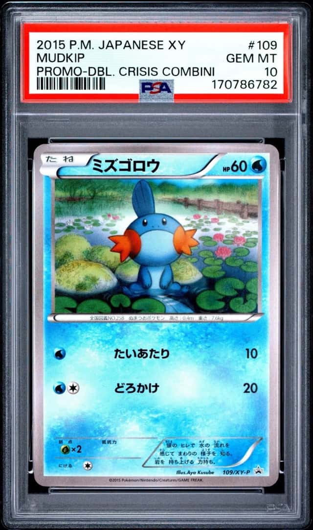 Mudkip