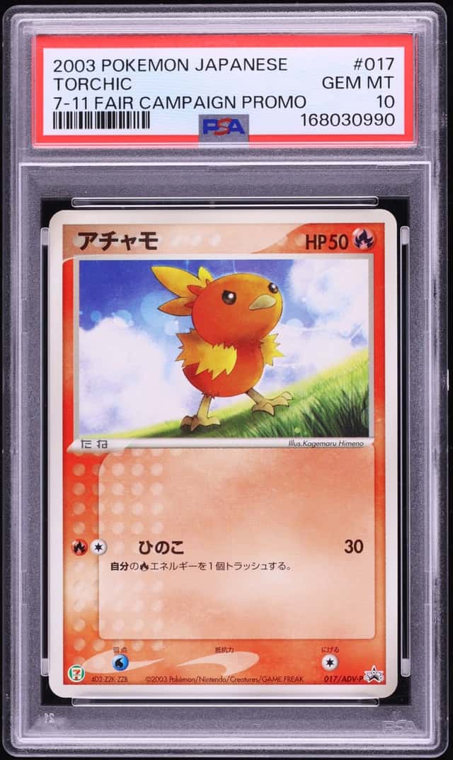 Torchic