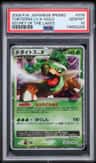 Torterra Lv X