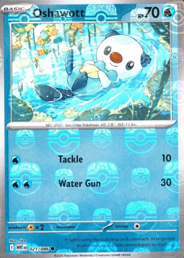 Master Ball · Reverse Holo