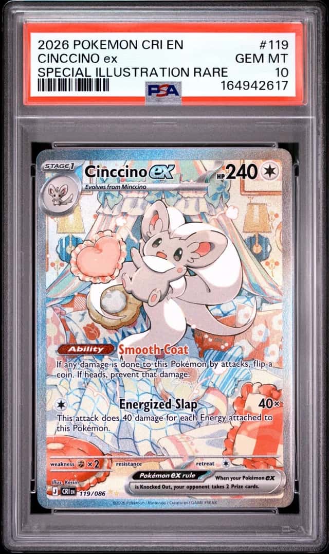 CINCCINO ex