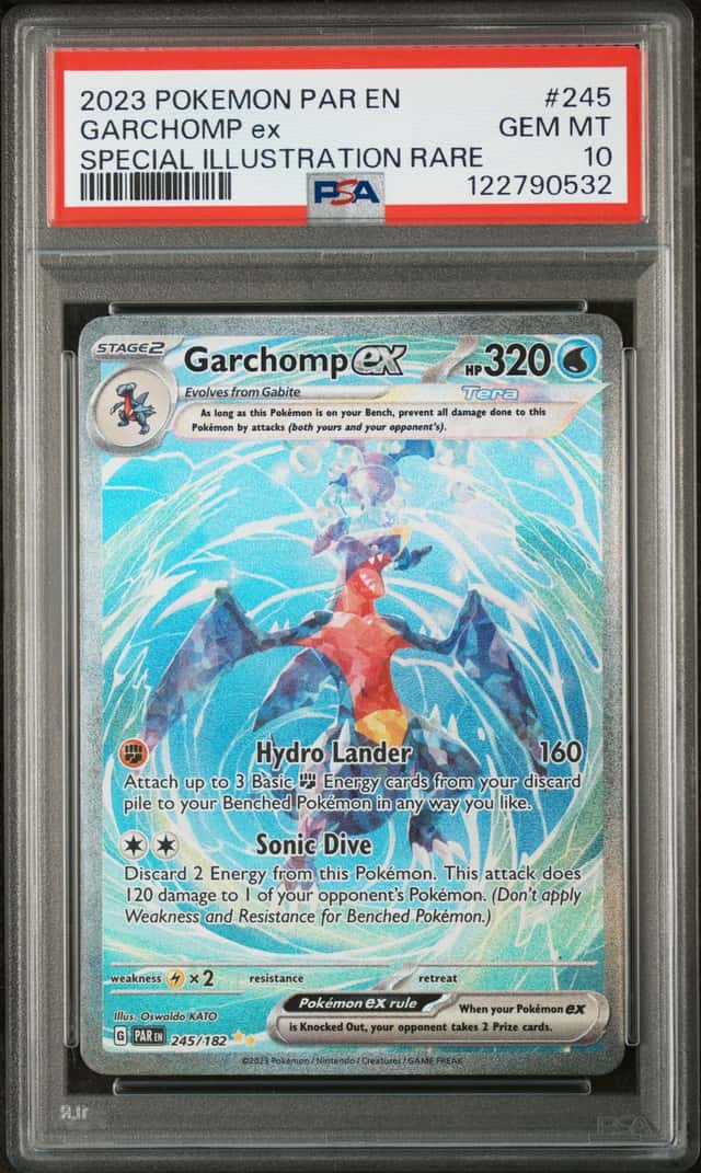 GARCHOMP ex
