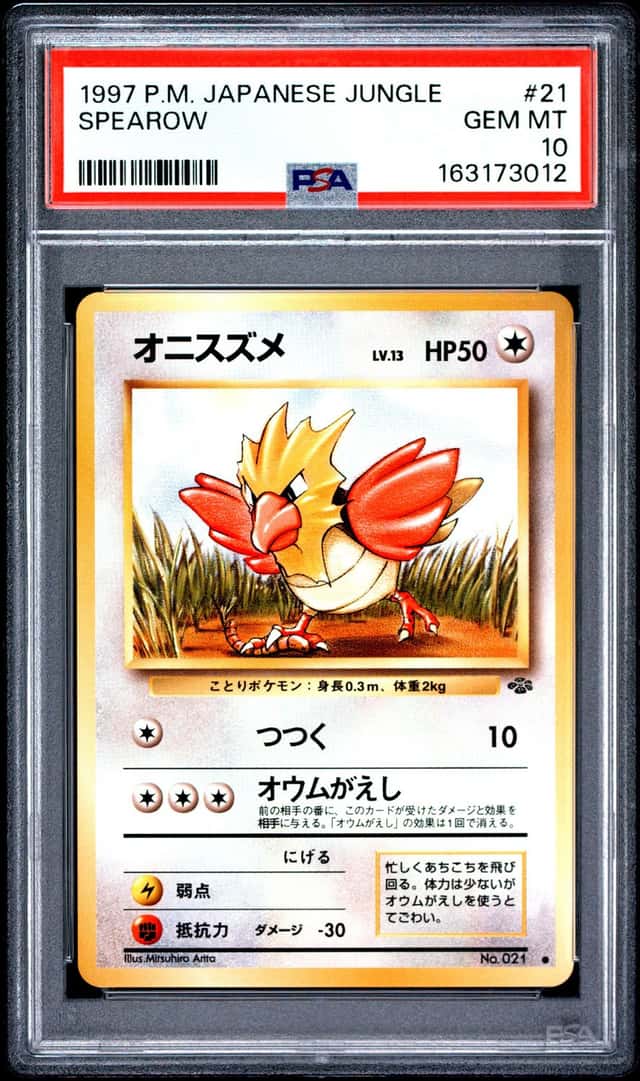 Spearow