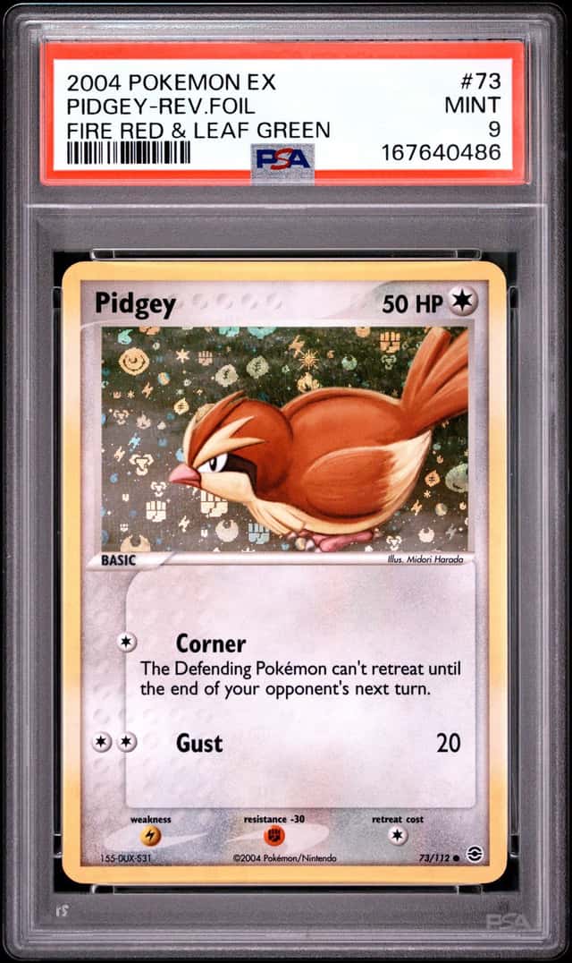Pidgey