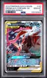 Greninja & Zoroark Gx