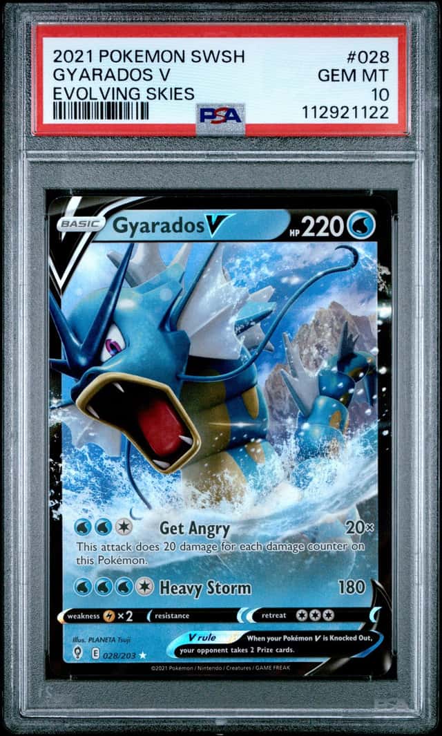 Gyarados V