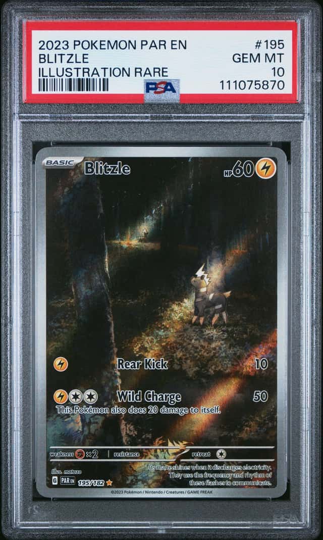 Blitzle