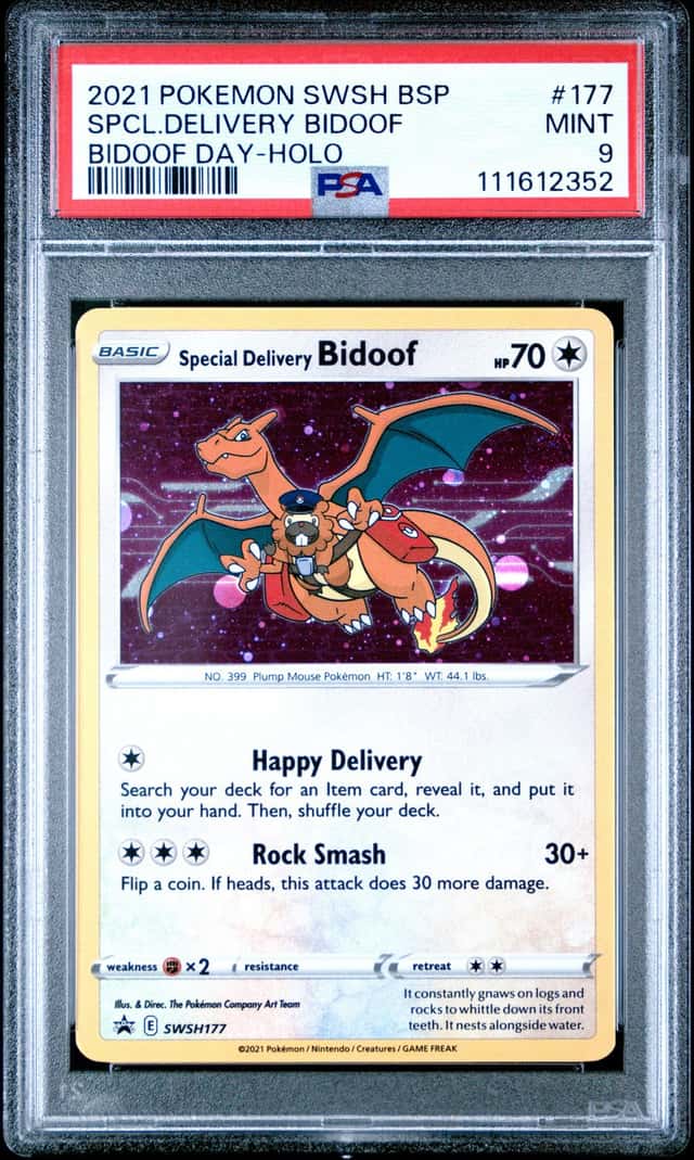 Special Delivery Bidoof