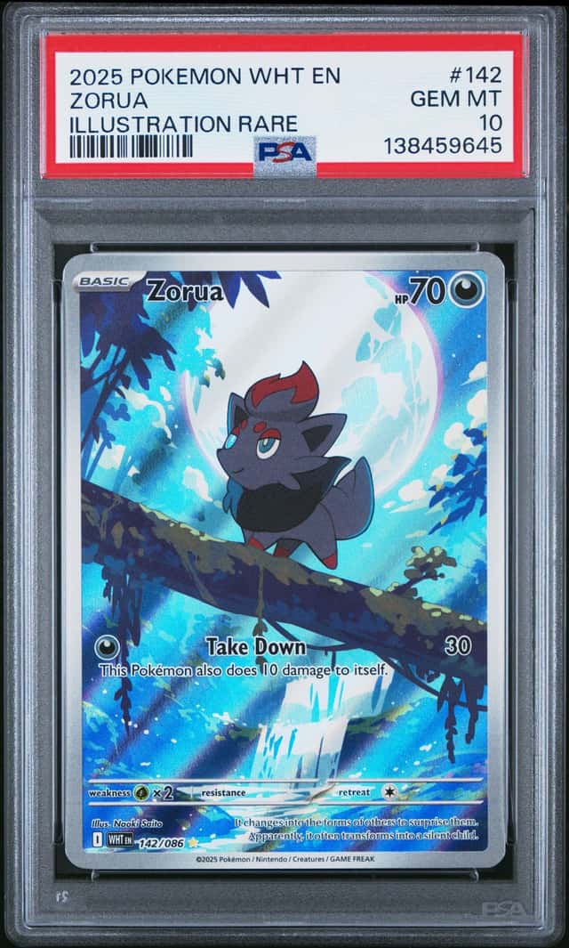 Zorua