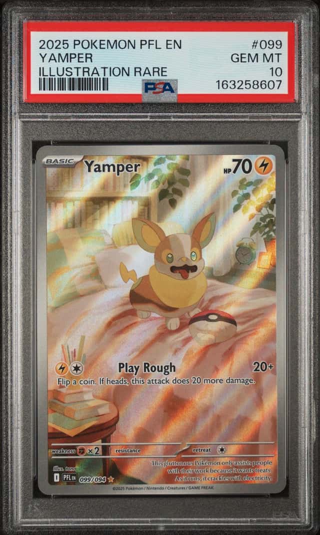 Yamper