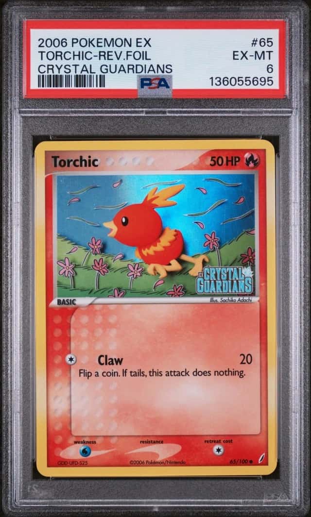 Torchic